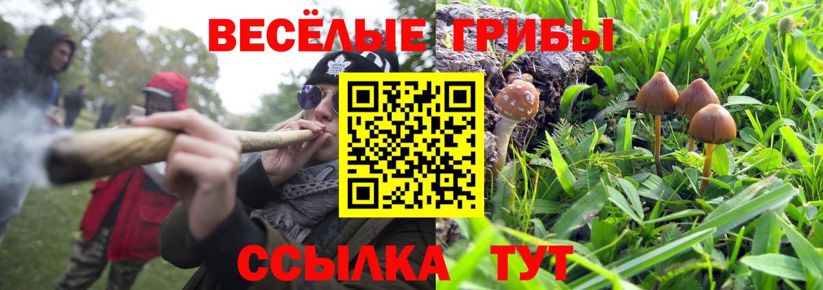 Галлюциногенные грибы Cubensis Химки